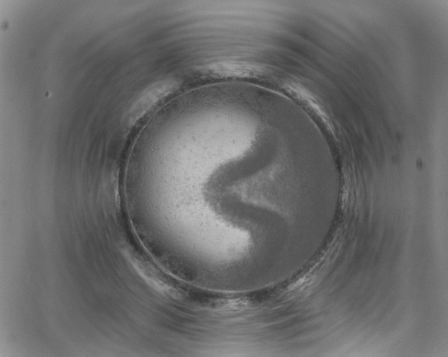 X0000063530398200601201503