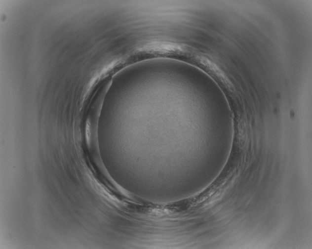 X0000063530399200601201503