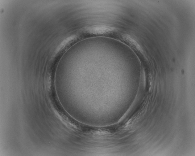 X0000063530400200601201503