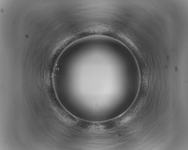 X0000063530403200601201503