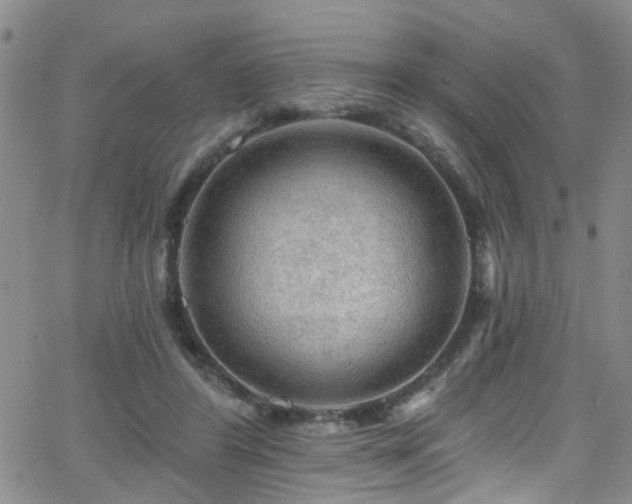 X0000063530404200601201503