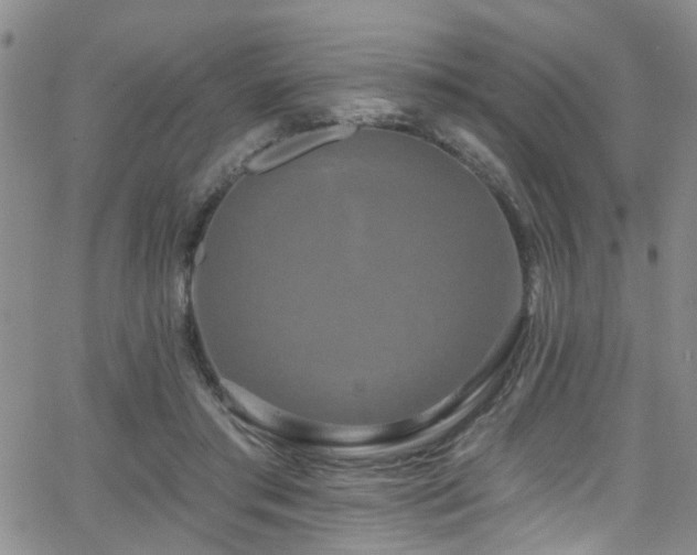 X0000063530405200601201503