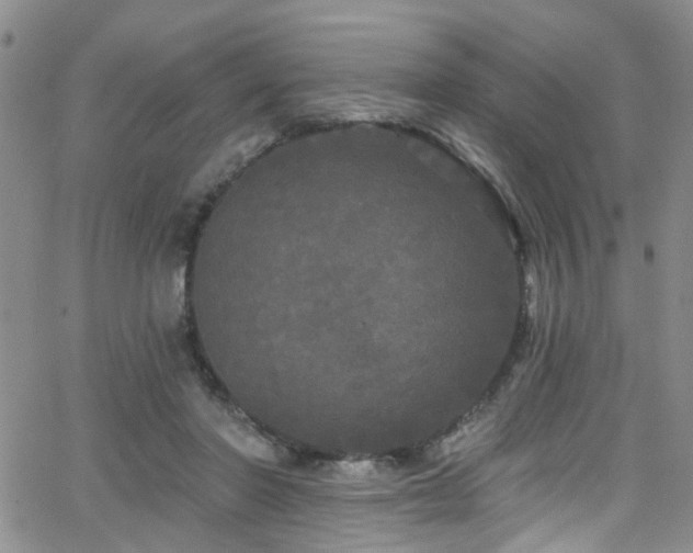 X0000063530406200601201503