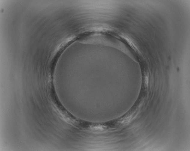 X0000063530407200601201503