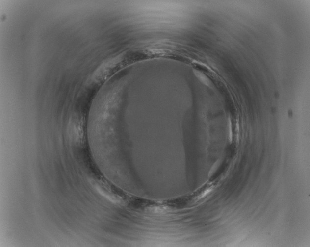 X0000063530408200601201503