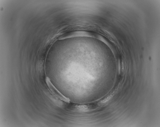 X0000063530409200601201503