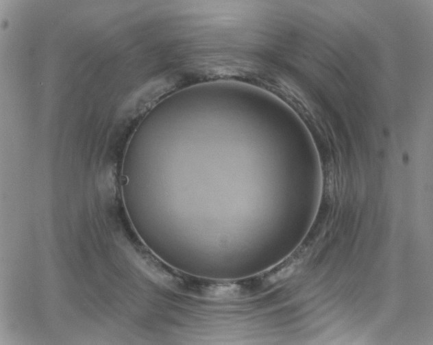 X0000063530410200601201503