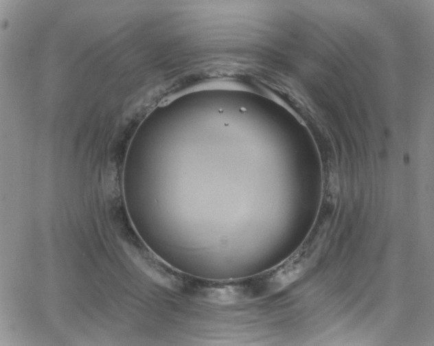 X0000063530411200601201503