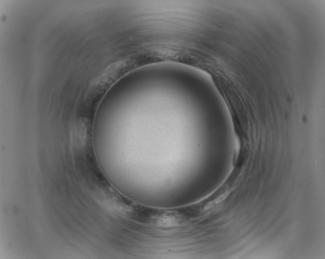 X0000063530412200601201503