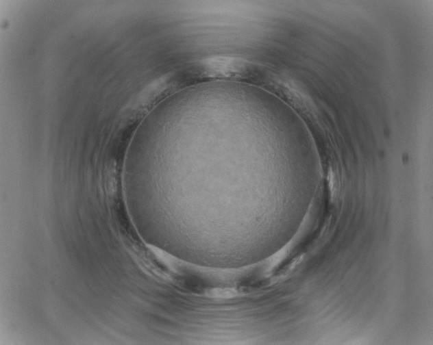 X0000063530413200601201503