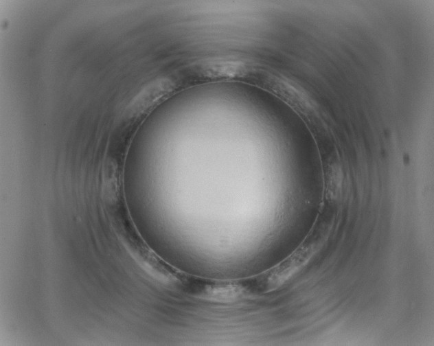 X0000063530414200601201503