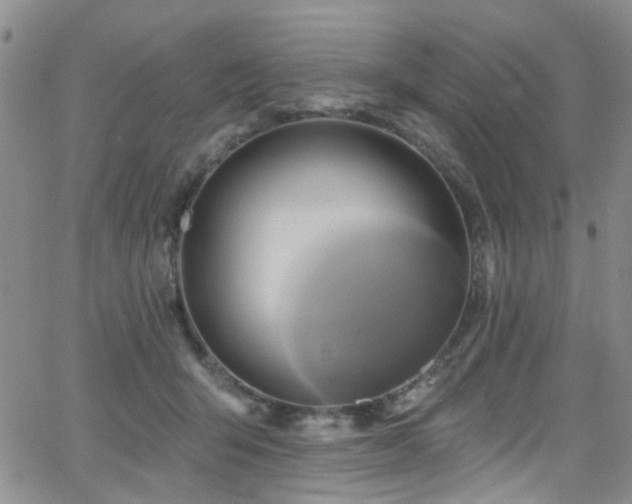 X0000063530415200601201503