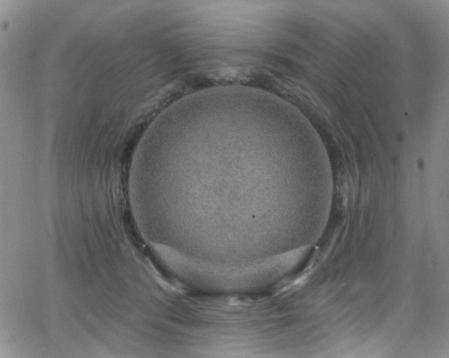 X0000063530416200601201503