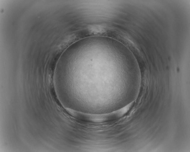 X0000063530417200601201503