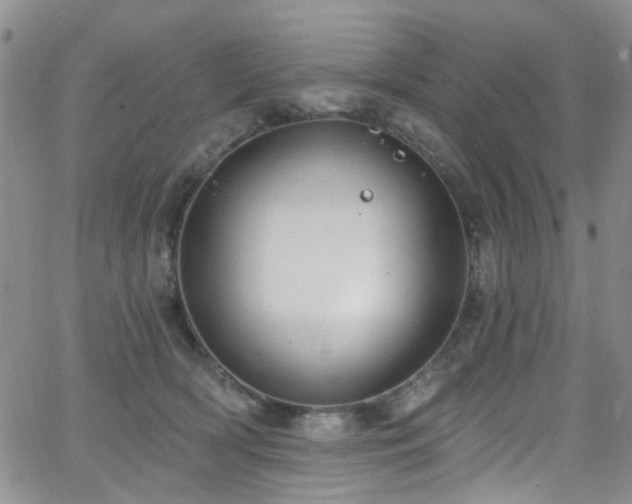 X0000063530418200601201503