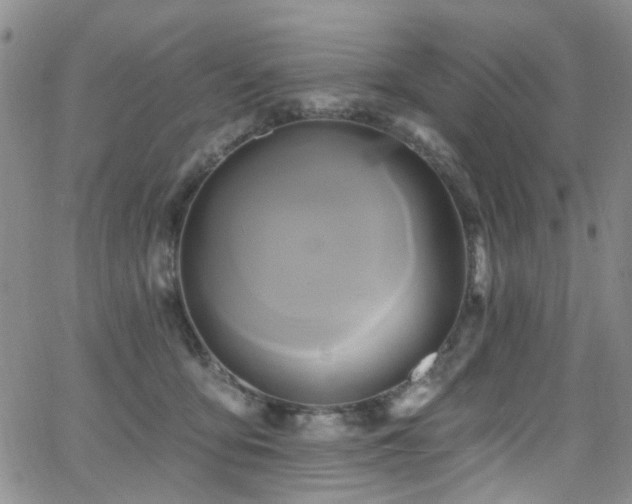 X0000063530419200601201503