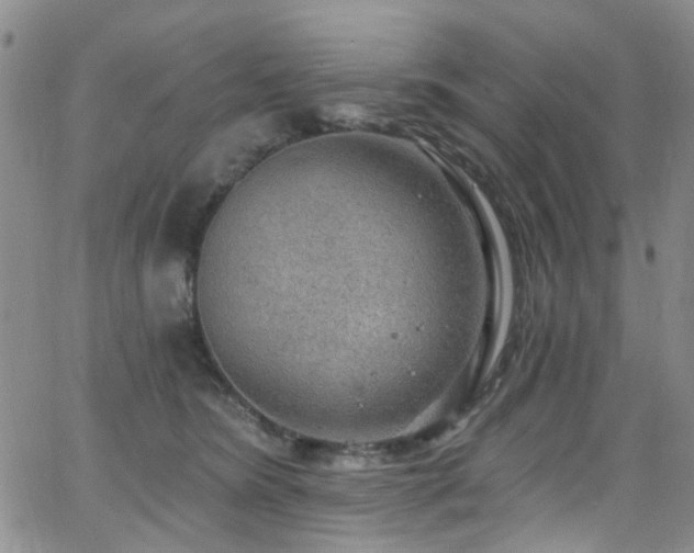 X0000063530420200601201503