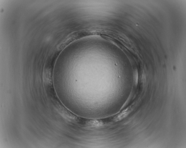 X0000063530421200601201503