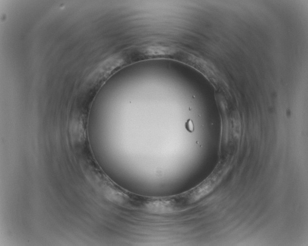 X0000063530422200601201503