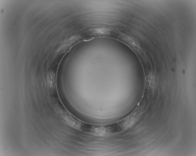 X0000063530423200601201503