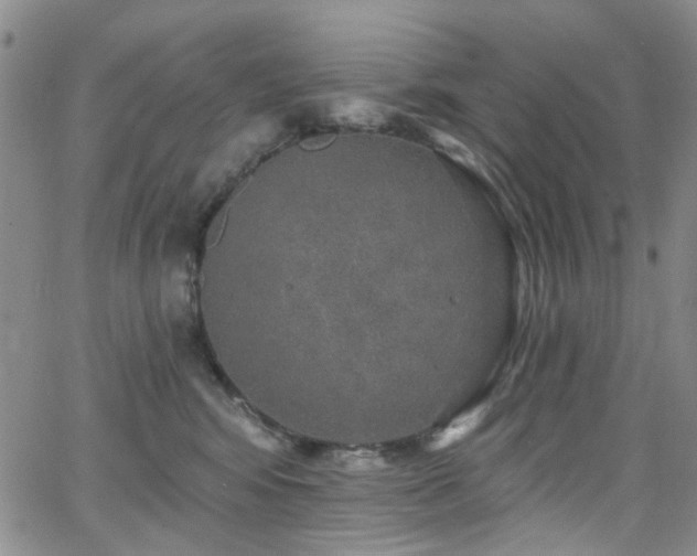 X0000063530424200601201503