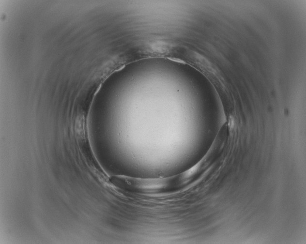 X0000063530425200601201503