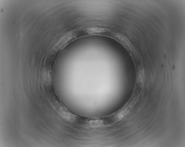 X0000063530426200601201503