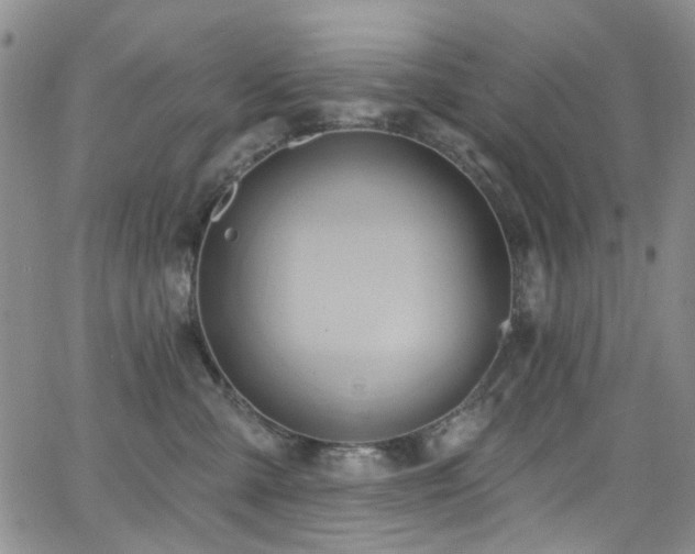 X0000063530427200601201503