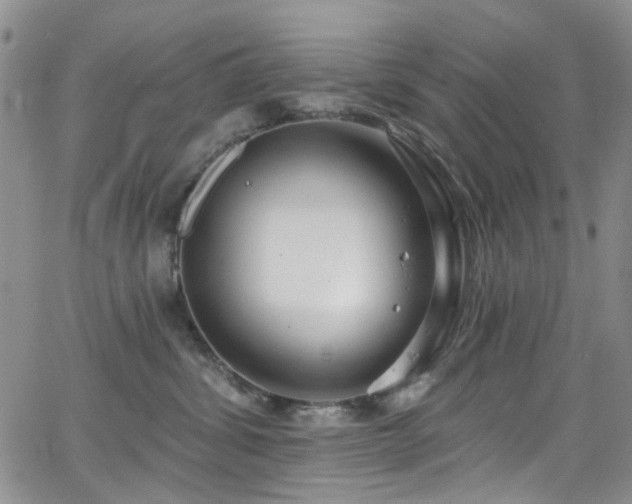 X0000063530428200601201503