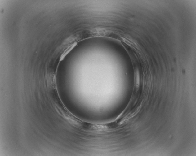 X0000063530429200601201503