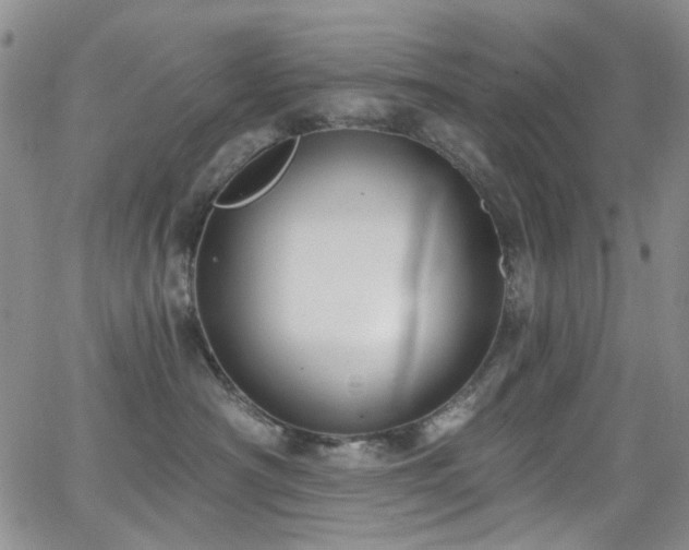 X0000063530430200601201503