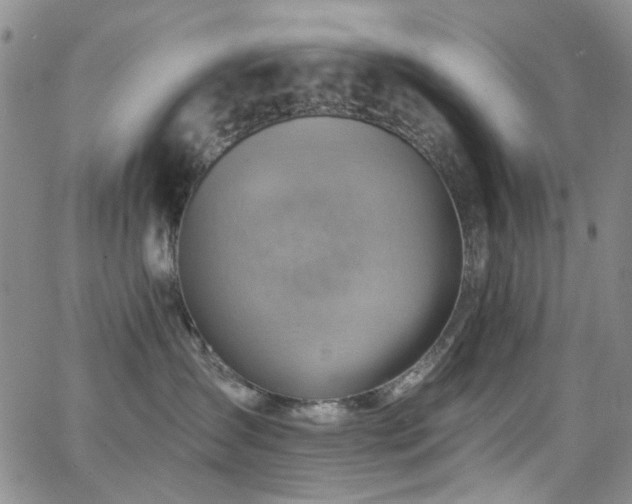 X0000063530431200601201503