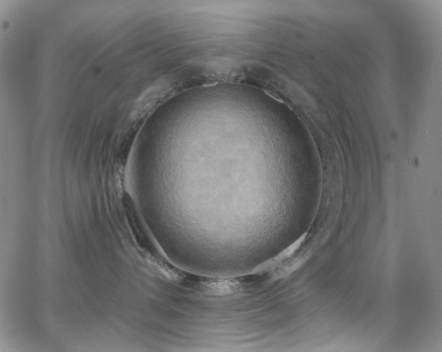 X0000063530432200601201503