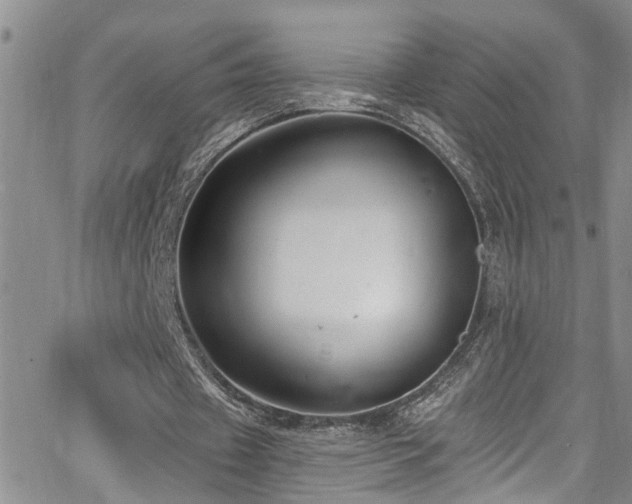 X0000063530433200601201502