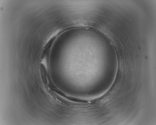 X0000063530434200601201502