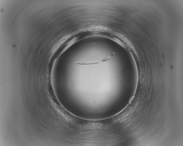 X0000063530437200601201502