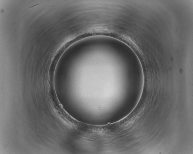 X0000063530439200601201502