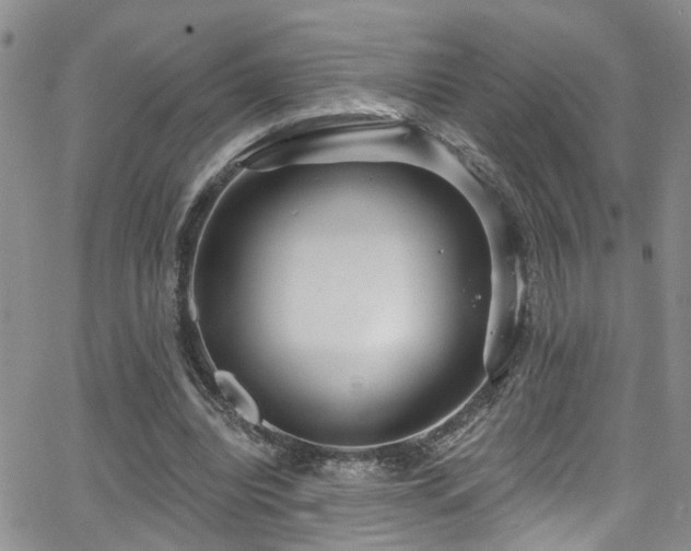 X0000063530440200601201502