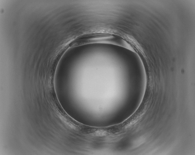 X0000063530441200601201502