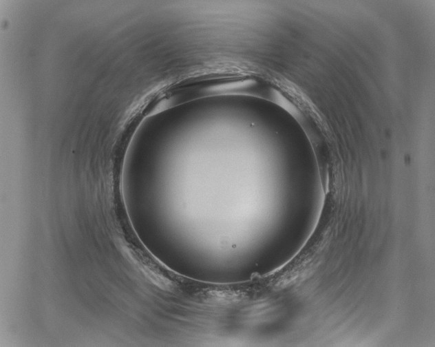 X0000063530442200601201502