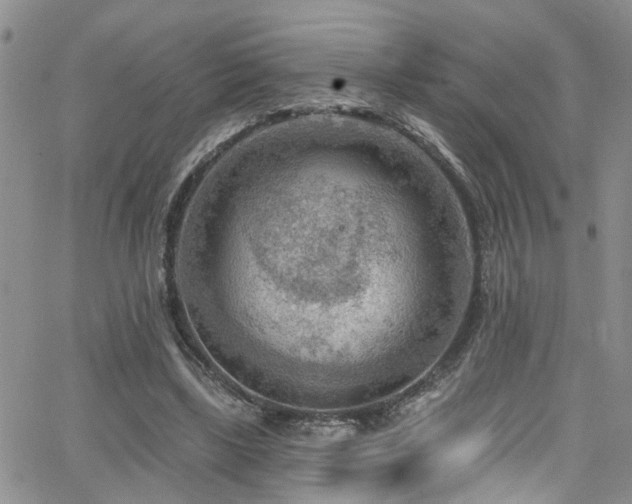 X0000063530443200601201502