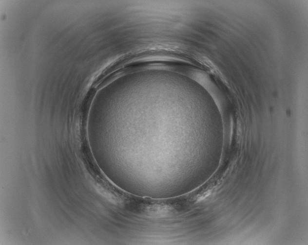 X0000063530444200601201502