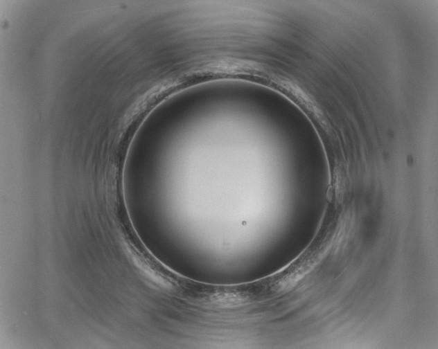 X0000063530445200601201502