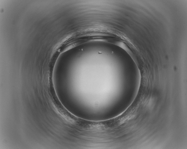 X0000063530446200601201502