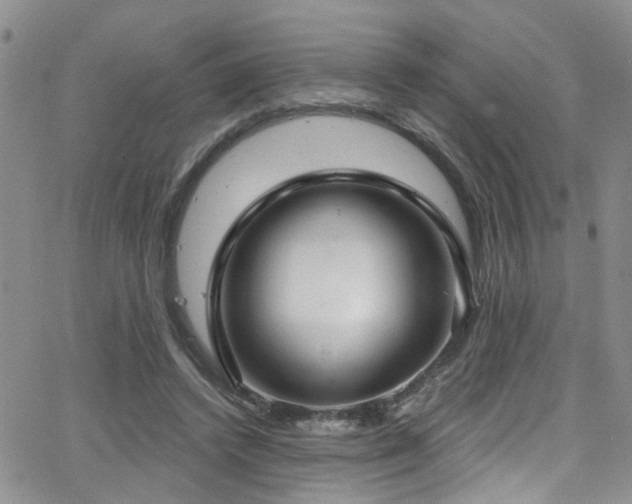 X0000063530448200601201502