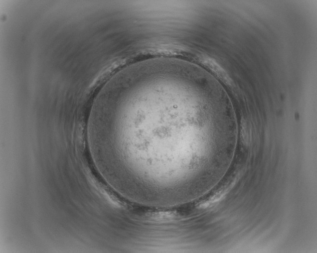 X0000063530449200601201502