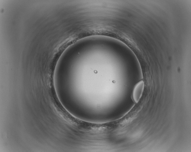 X0000063530450200601201502