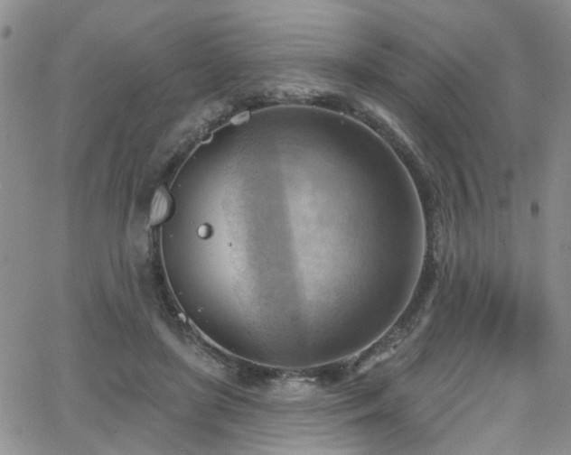 X0000063530451200601201502