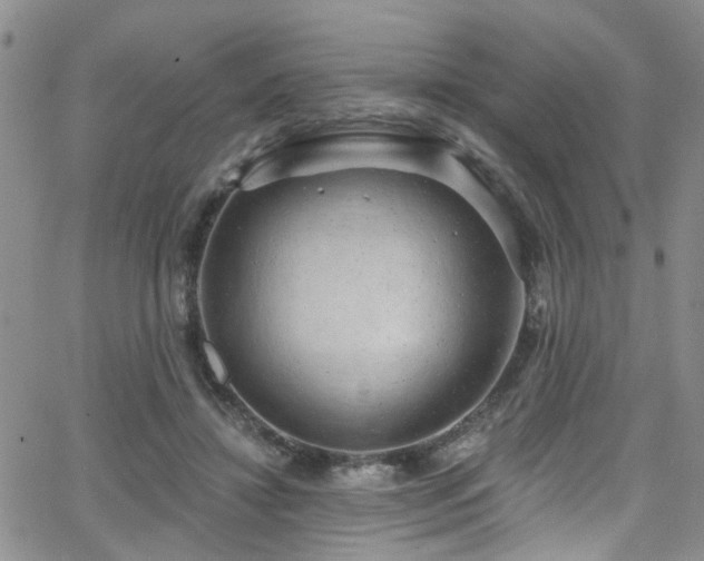 X0000063530452200601201502