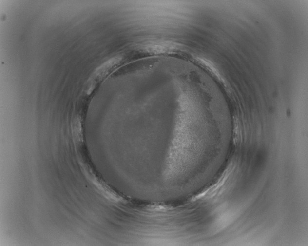 X0000063530453200601201502